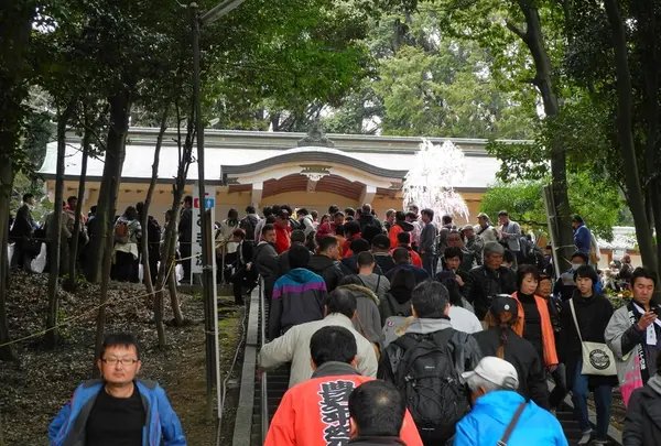熊野神社の写真・動画_image_132759