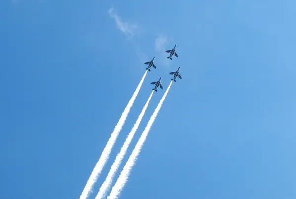 航空ショーが見える