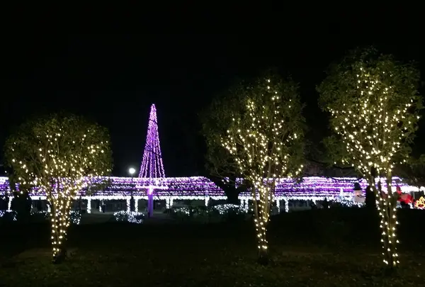 元渕江公園の写真・動画_image_54117