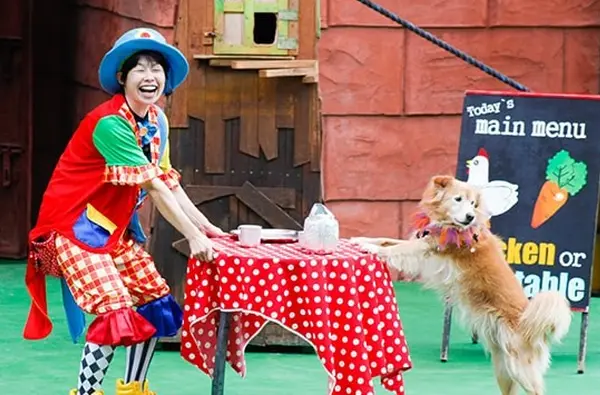 伊豆シャボテン動物公園の写真・動画_image_102272