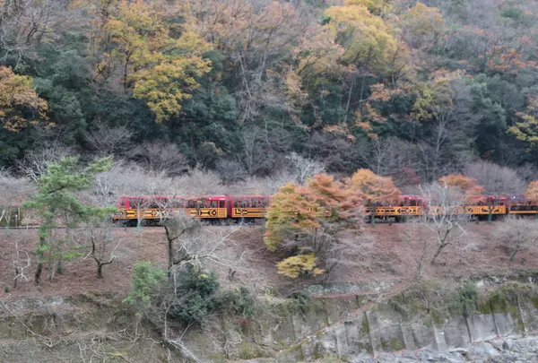 部屋からはトロッコ列車が
