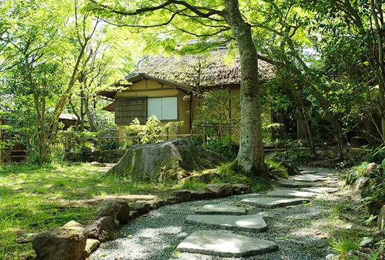 点茶15時受付終了