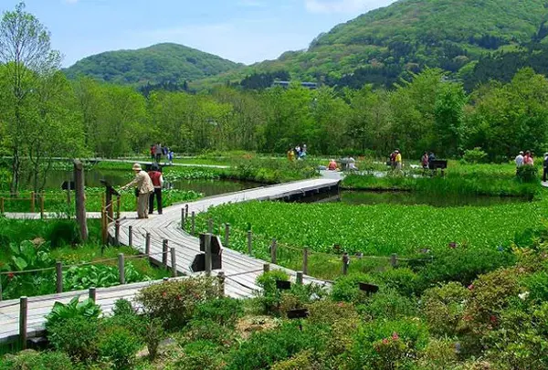 箱根湿生花園