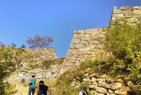 竹田城跡の写真・動画_image_64067