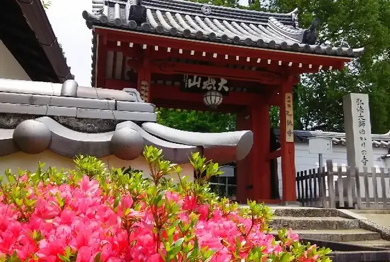 乙訓地域最古のお寺