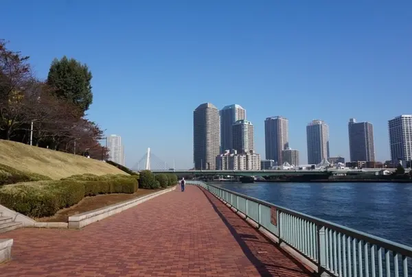 水辺の癒し空間