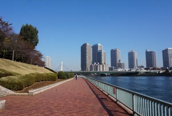 隅田川の写真・動画_image_31606