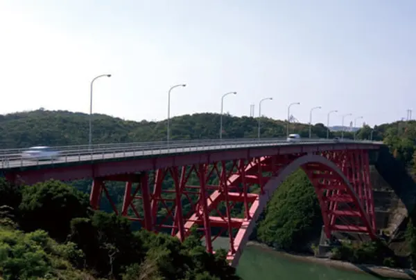 パールロードの写真・動画_image_81886
