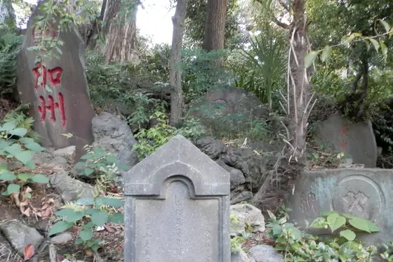 入り口(?)の左側