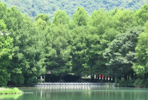 花蓮雲山水夢幻湖の写真・動画_image_649411