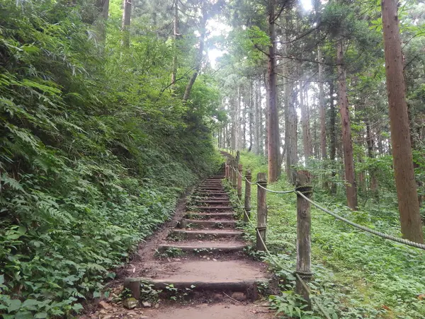 整備された階段状の山道を登ります