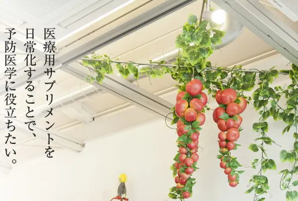 薬剤師カフェvita 銀座