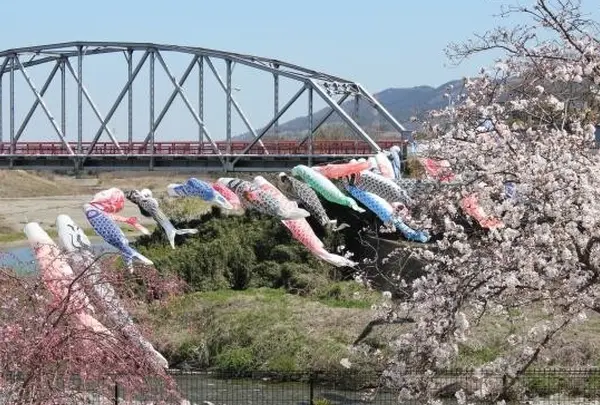 柿の郷くどやまの写真・動画_image_69619