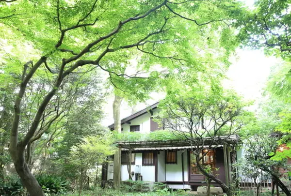 はけの森カフェ