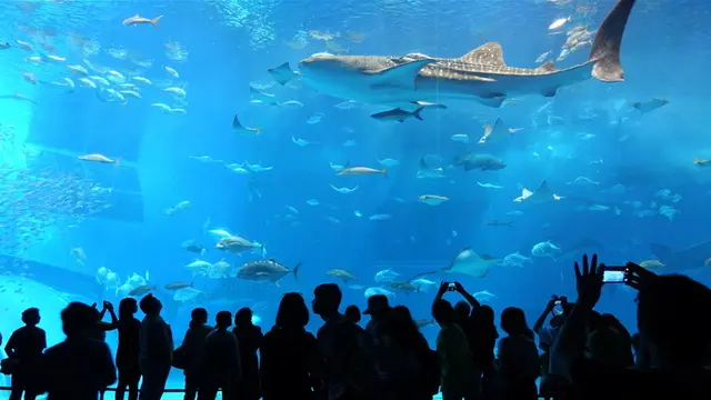 なんだかんだバスツアーが外れなしだった沖縄本島