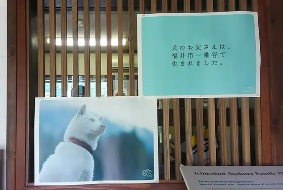 お父さんの故郷