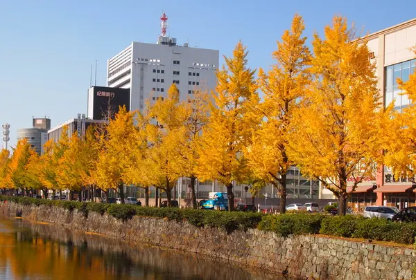 紅葉渓庭園の写真・動画_image_16746