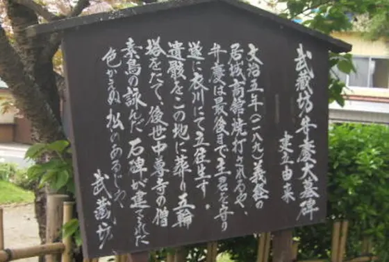 説明