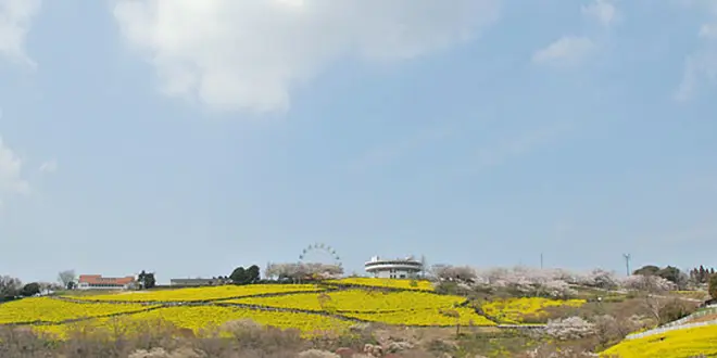 Mather farm