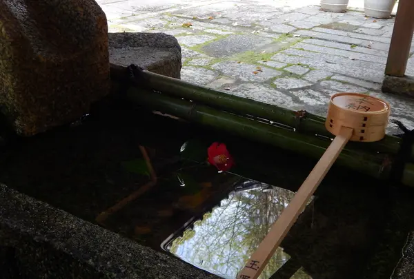 心づかいがステキです
