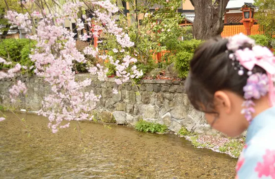 桜も素敵でした。
