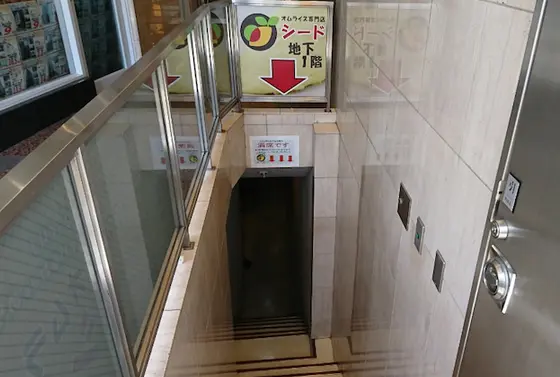 スポット内のおすすめ