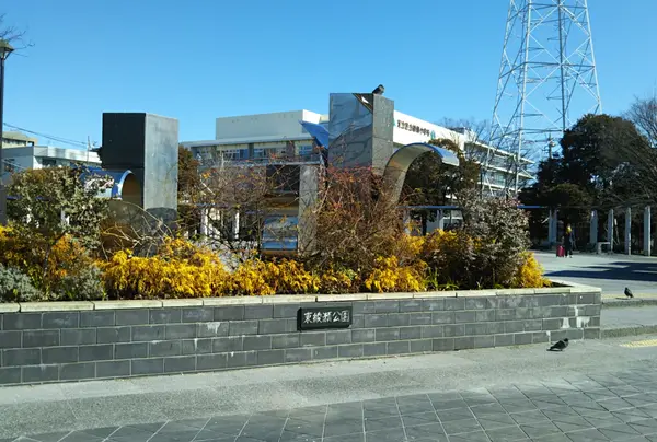 都立東綾瀬園 ハト公園