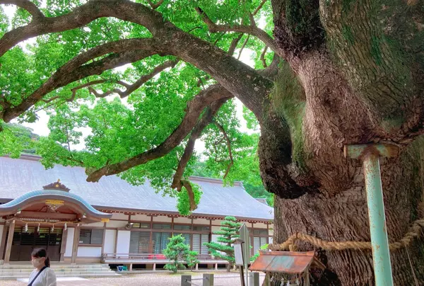 阿波一之宮 大麻比古神社（おおあさひこじんじゃ）