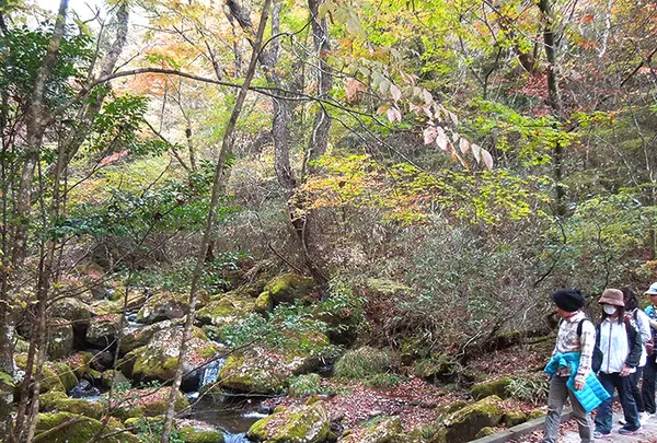 清流の森