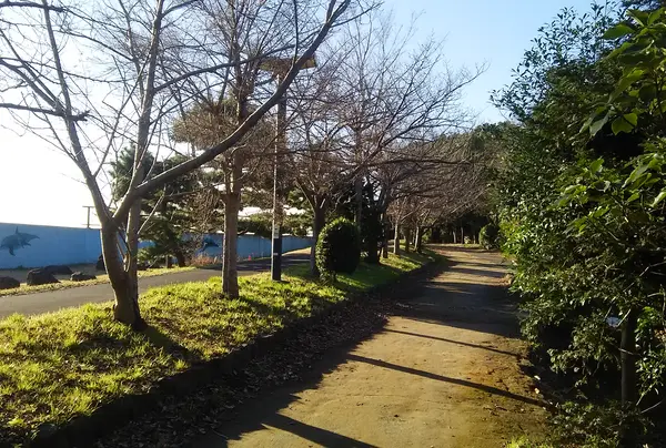 新木場緑道公園の写真・動画_image_766674