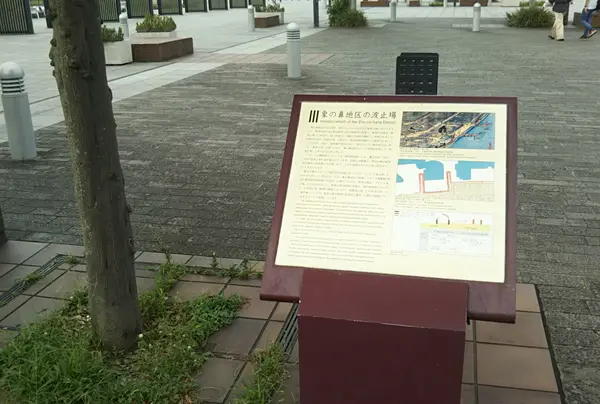 象の鼻パークの写真・動画_image_816940