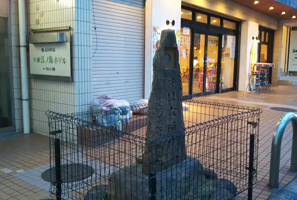 湘南すばな通りの写真・動画_image_858801