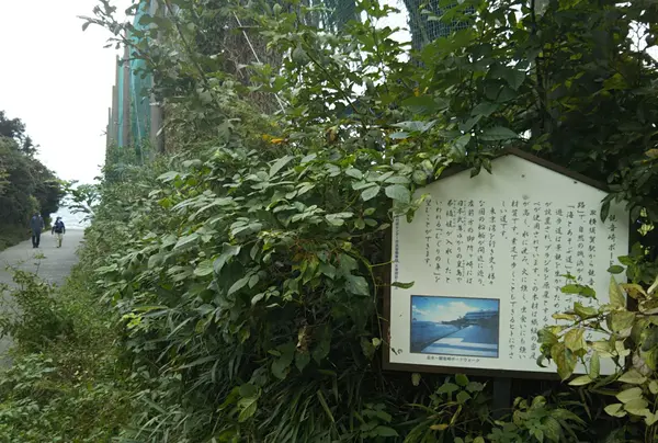 観音崎ボードウォーク