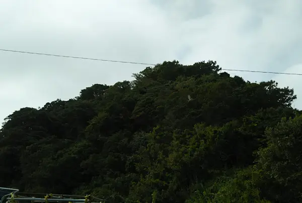 千代ヶ崎砲台跡