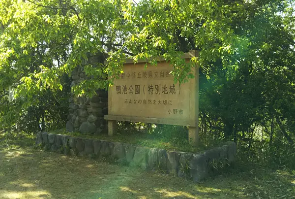 鴨池公園の写真・動画_image_960472