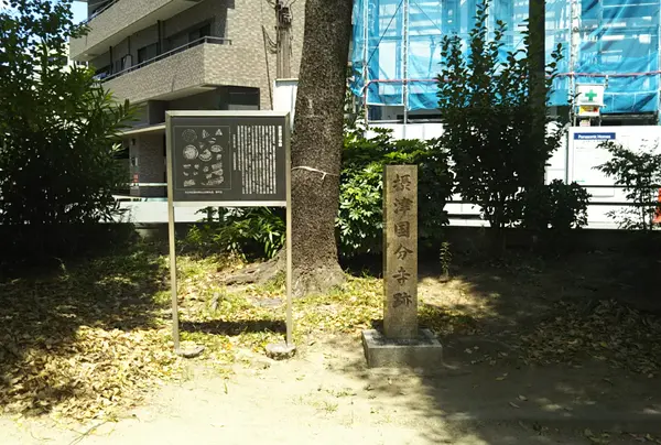 国分町の写真・動画_image_961863