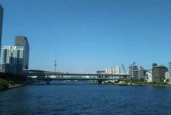 隅田川テラス 隅田川大橋下の写真・動画_image_963935