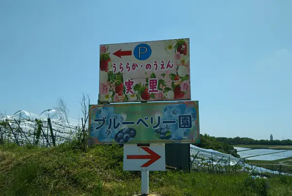 里脇観光ぶどう園