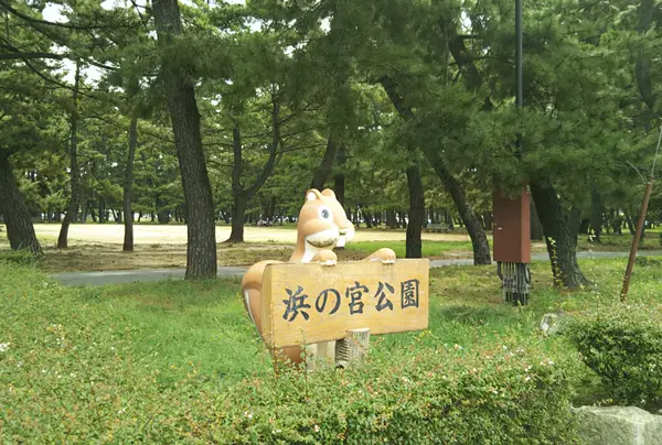 浜の宮公園