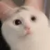 kiri_rin