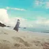 ぴっぴ