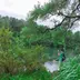 こすけ