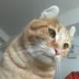 しんば
