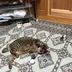 よっさん