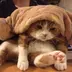 ゆっと