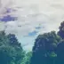 葛葉