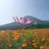 KOBAMACHIさんぽ