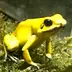 ko-ba