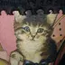 ヒロニャン