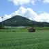 NPO法人頴娃おこそ会